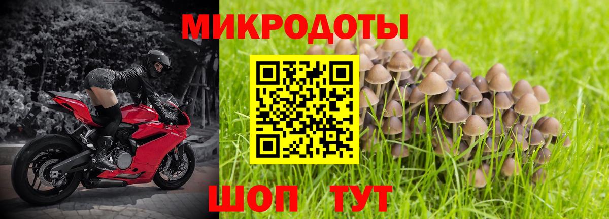 Псилоцибиновые грибы ЛСД  Вход с VPN  Новошахтинск 