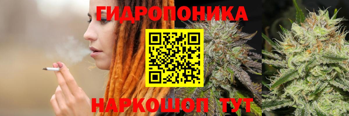 Бошки марихуана Amnesia  Вход с VPN  Новошахтинск  Канабис ГИДРОПОН  Шишки марихуана планчик 